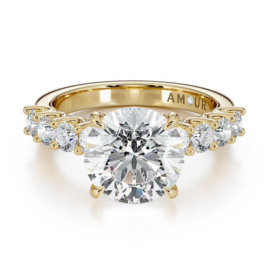 Round Brilliant Cut With Brilliant Cut Diamond Shoulder Stones