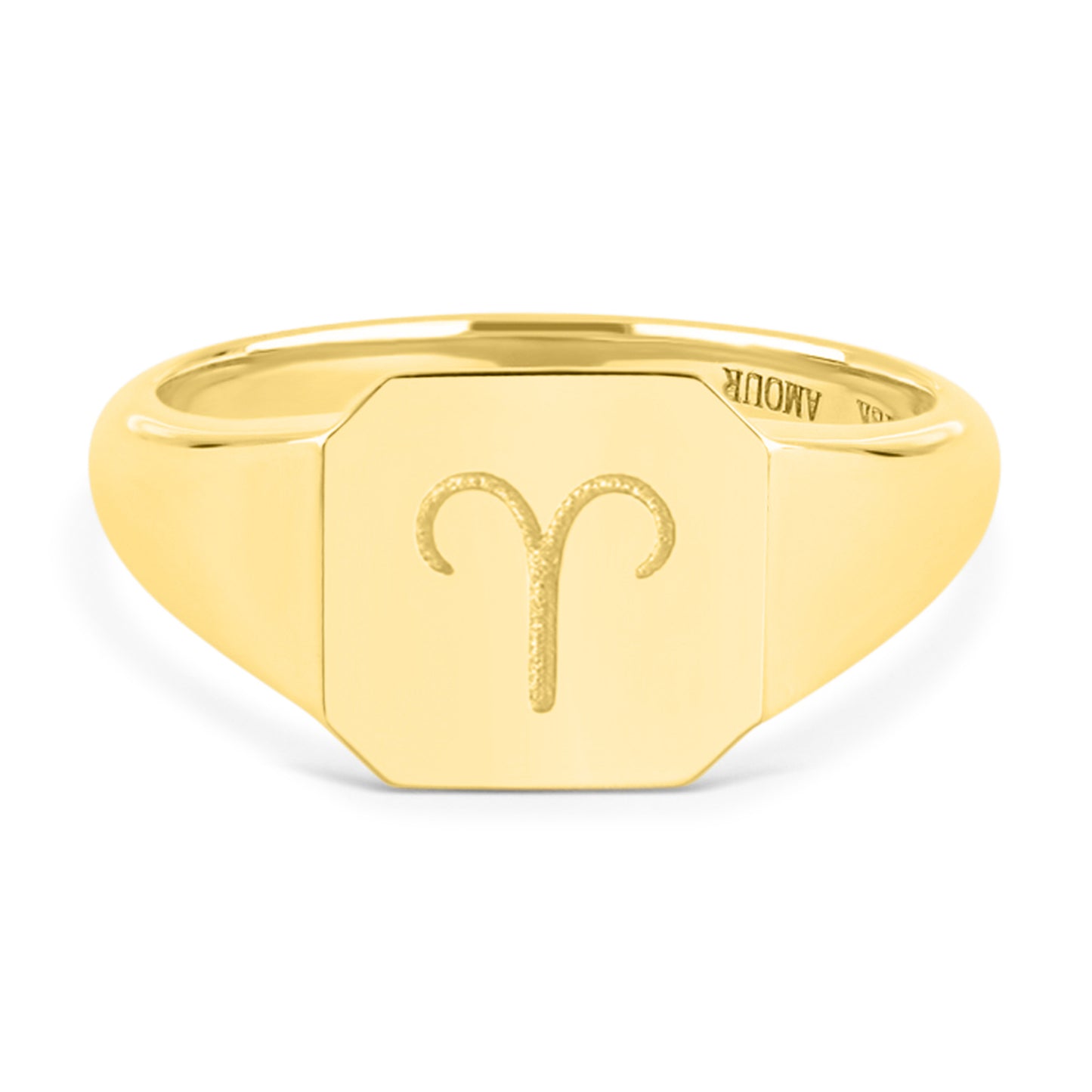 Zodiac Sign Signet Ring