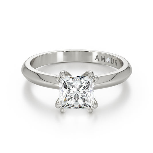 Double Prong Princess Cut Knife Edge