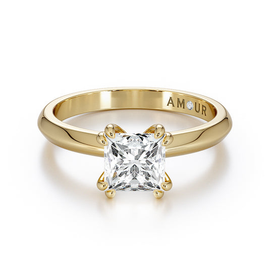 Double Prong Princess Cut Knife Edge