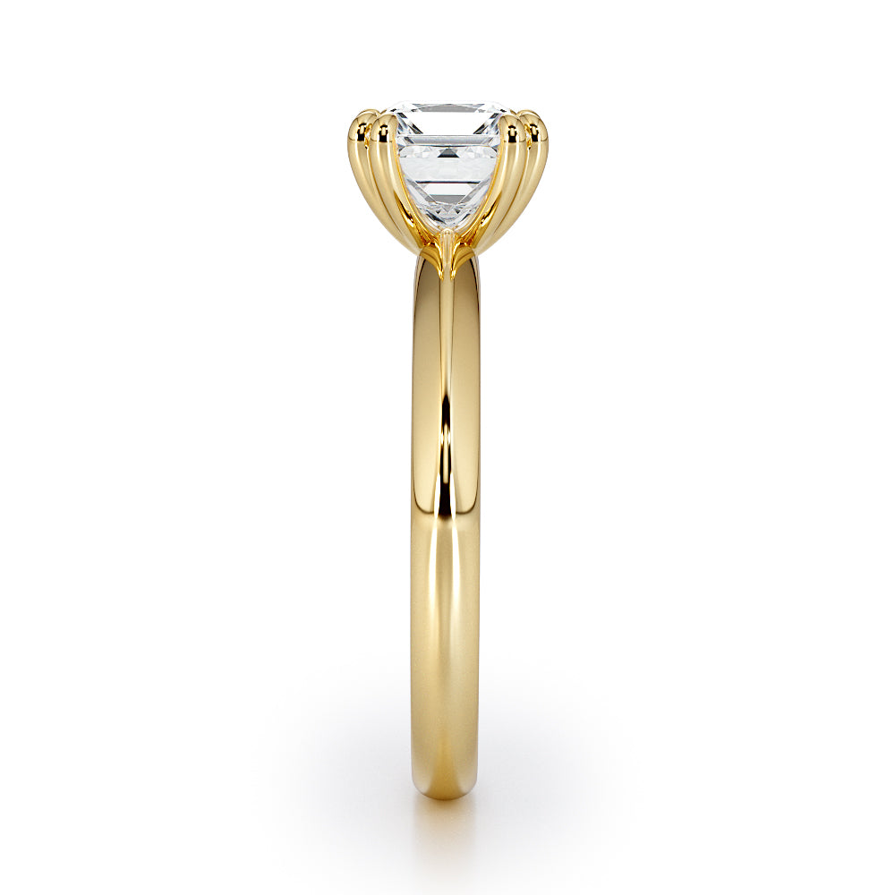 Four Double Claw Princess Cut Knife Edge