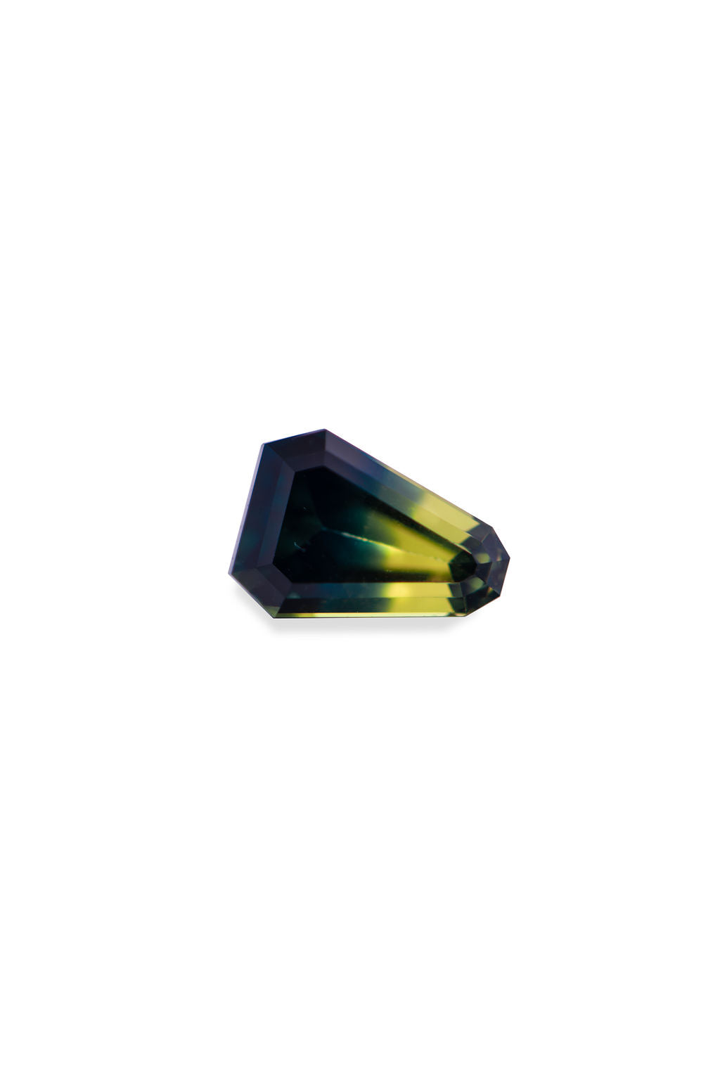 1.54ct Fancy Cut Parti Sapphire Bi Colour
