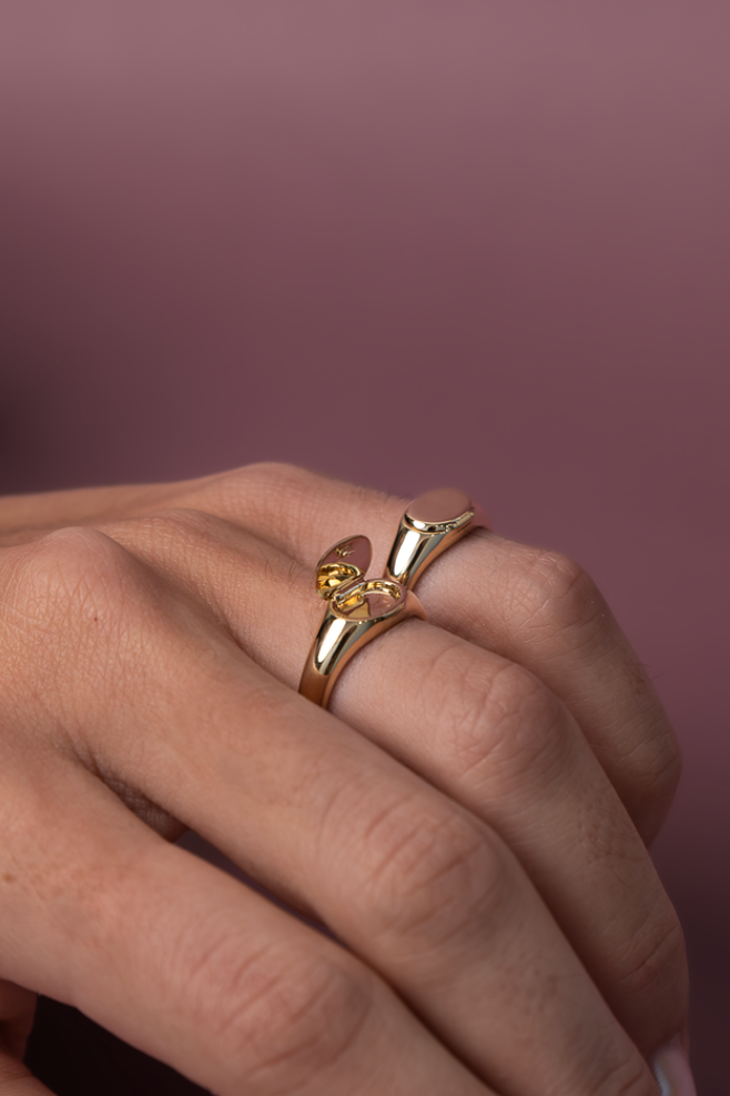 Locket Signet Ring
