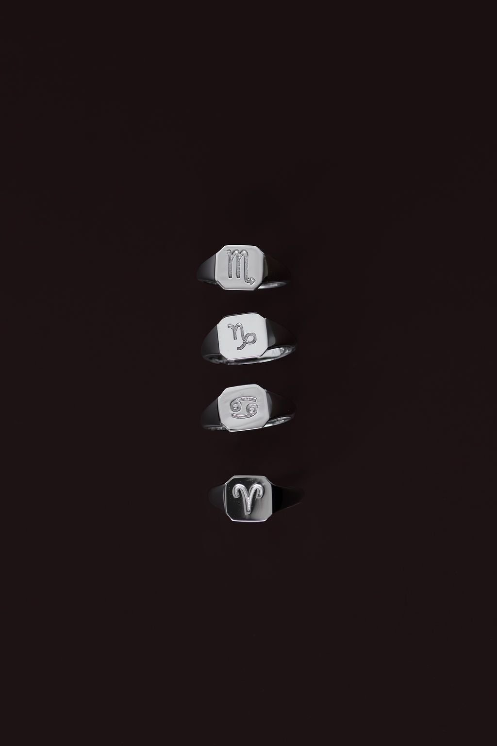 Zodiac Signet Ring