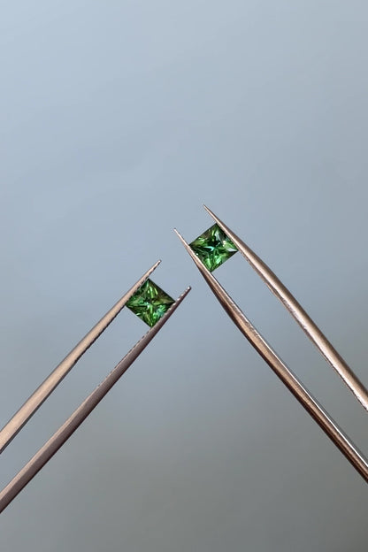 Pair_of_tourmaline_video