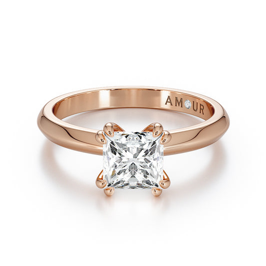 Double Prong Princess Cut Knife Edge